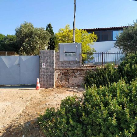 Cap Sounion Seafront Apartments -Adults Only Eksteriør billede