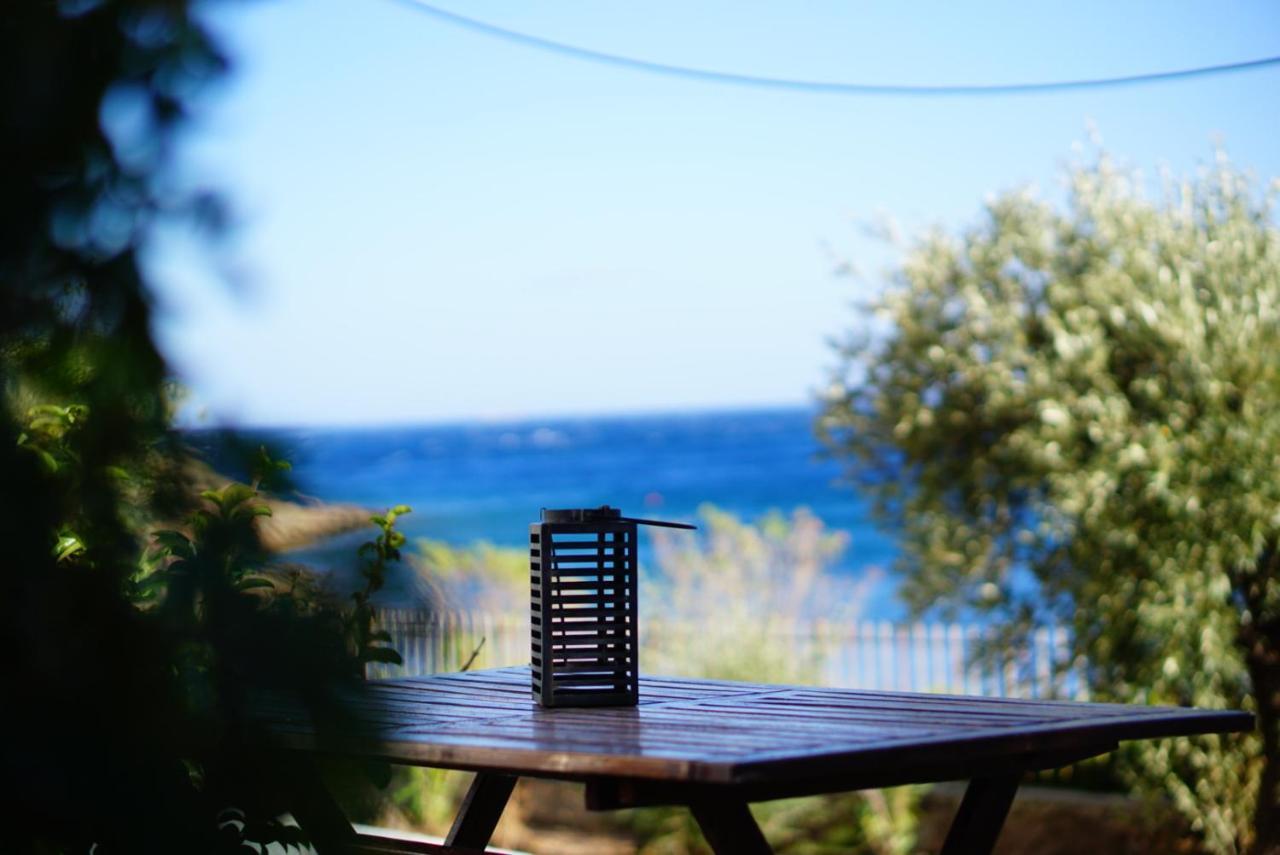 Cap Sounion Seafront Apartments -Adults Only Eksteriør billede