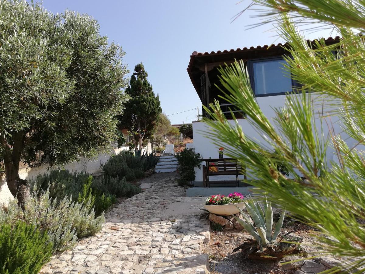 Cap Sounion Seafront Apartments -Adults Only Eksteriør billede