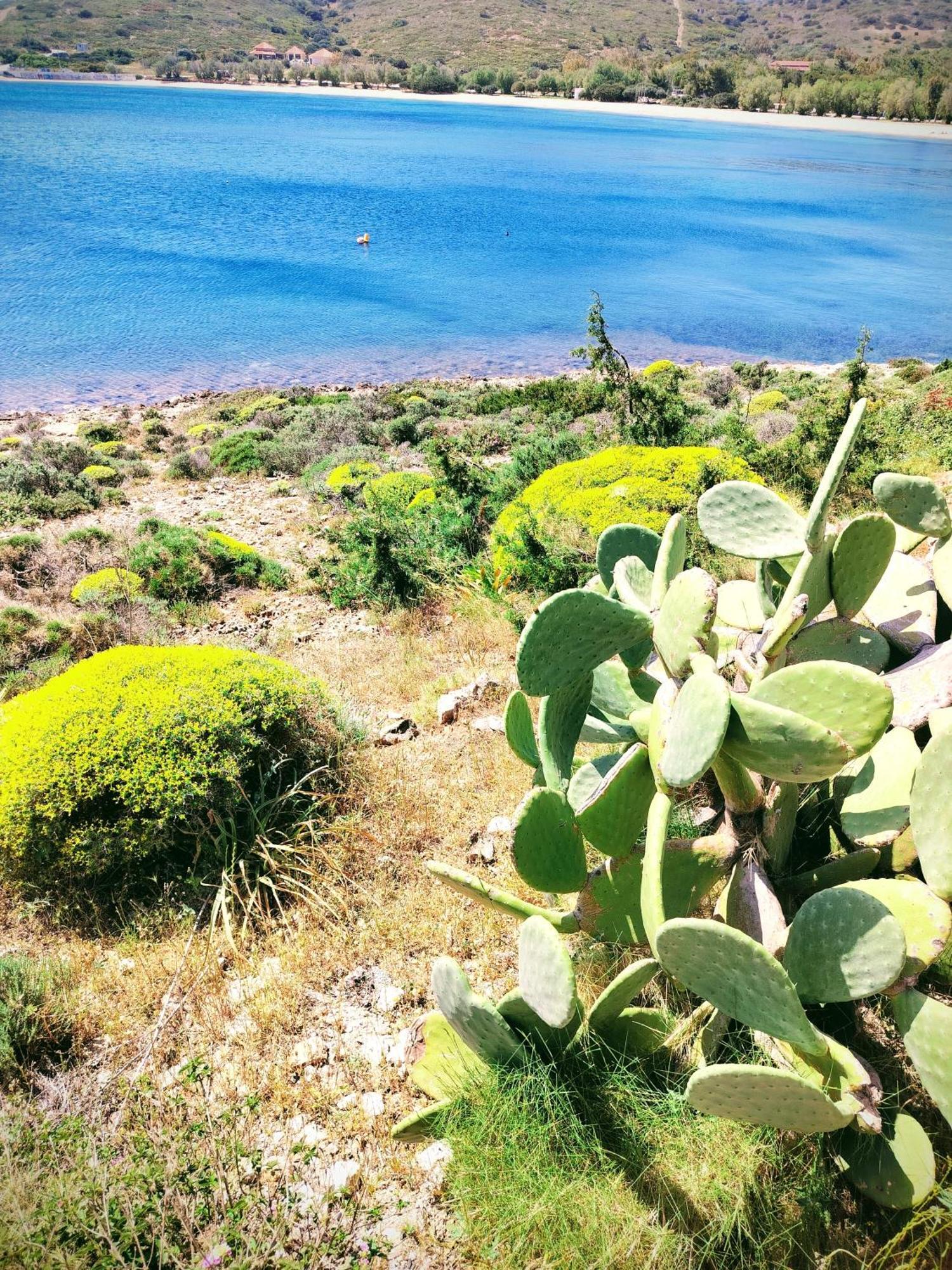 Cap Sounion Seafront Apartments -Adults Only Eksteriør billede