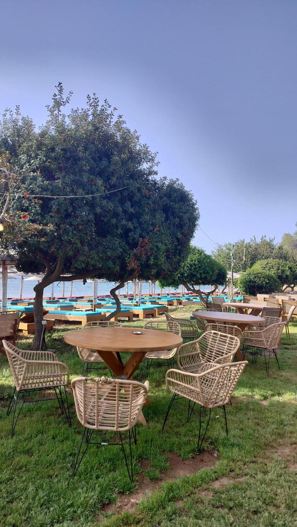 Cap Sounion Seafront Apartments -Adults Only Eksteriør billede
