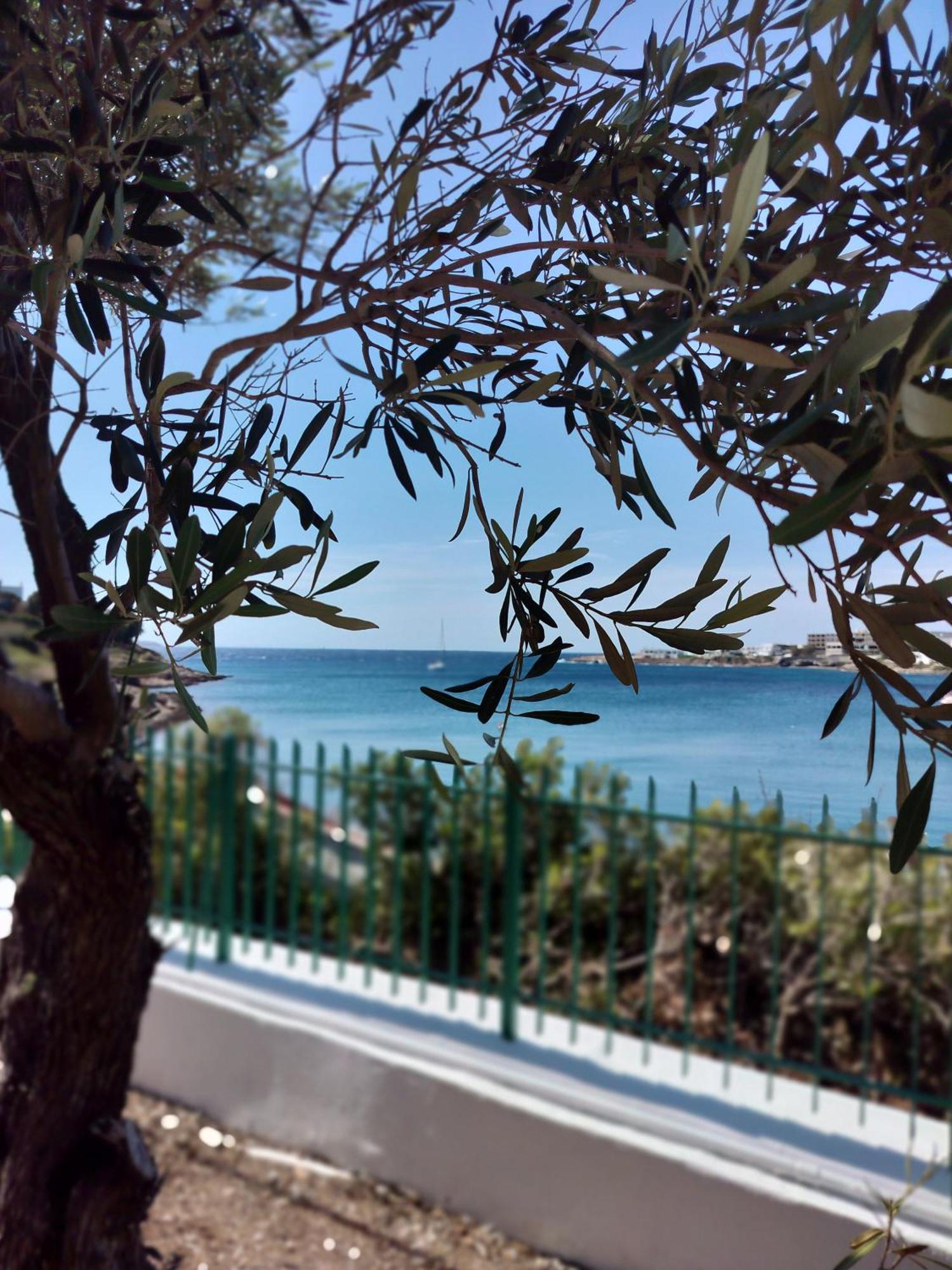 Cap Sounion Seafront Apartments -Adults Only Eksteriør billede